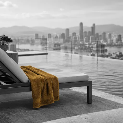 The resort fee at altitude: when a rooftop surcharge is worth the argument